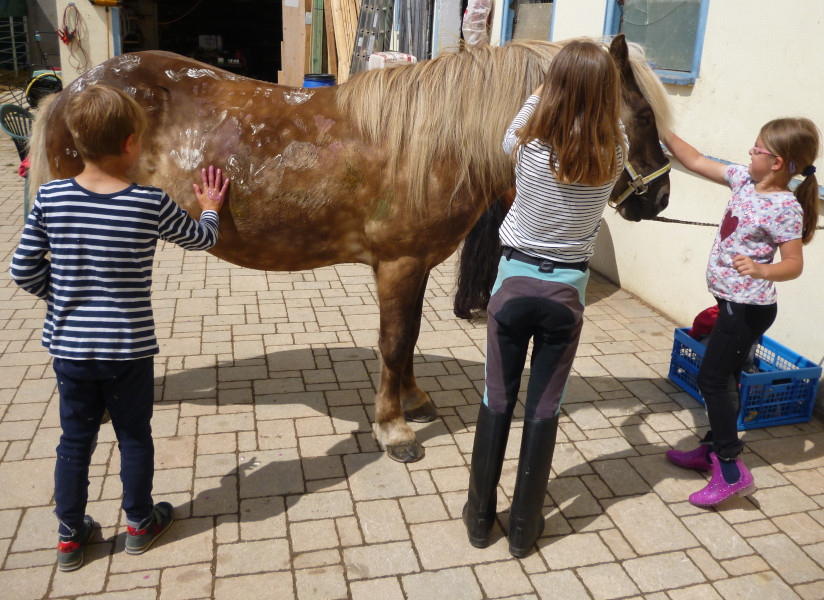 Fálki wird angemalt