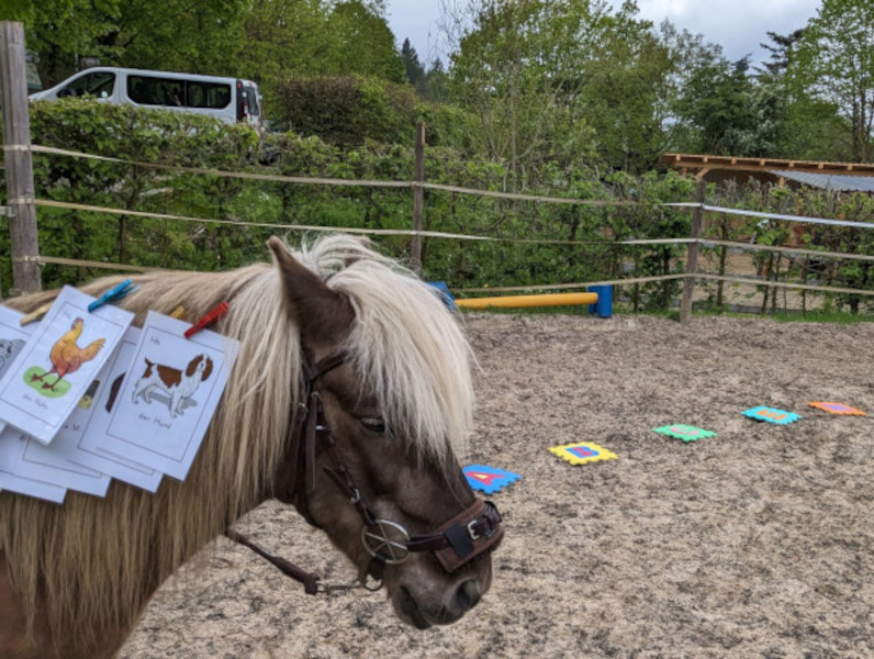 Förderung und Therapie